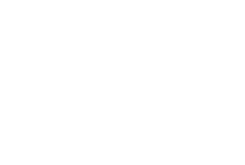 The Brick